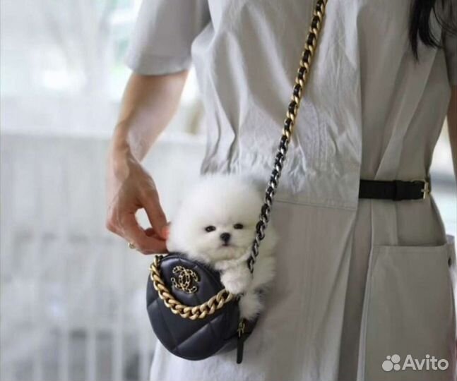 Красотулички