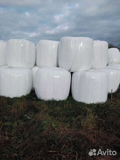 Сенаж в рулонах 2023 года