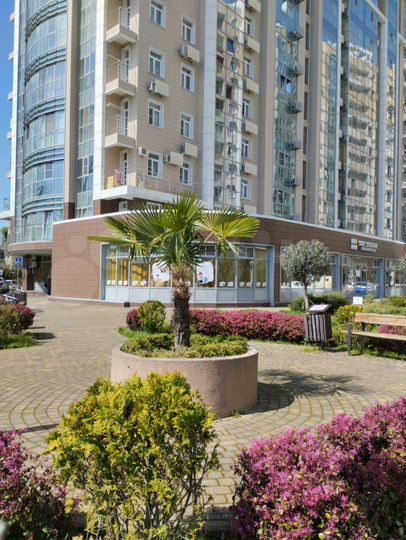 Квартира-студия, 33,3 м², 2/14 эт.