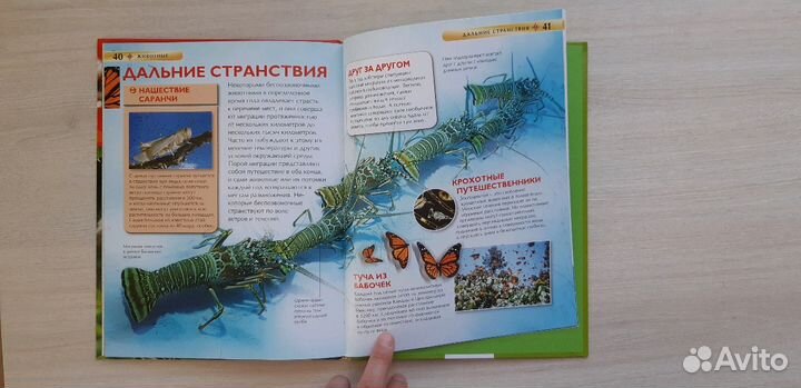 Энциклопедия Животные