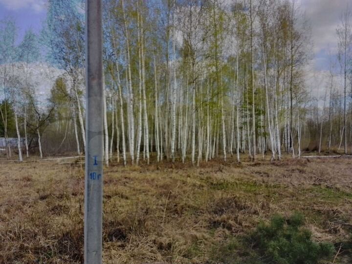 Участок 20 сот. (СНТ, ДНП)