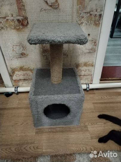 Когтеточка