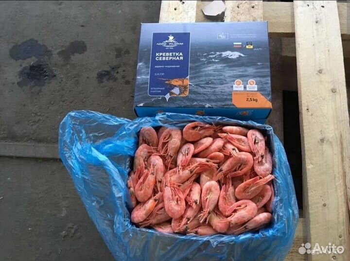 Креветка северная в/м