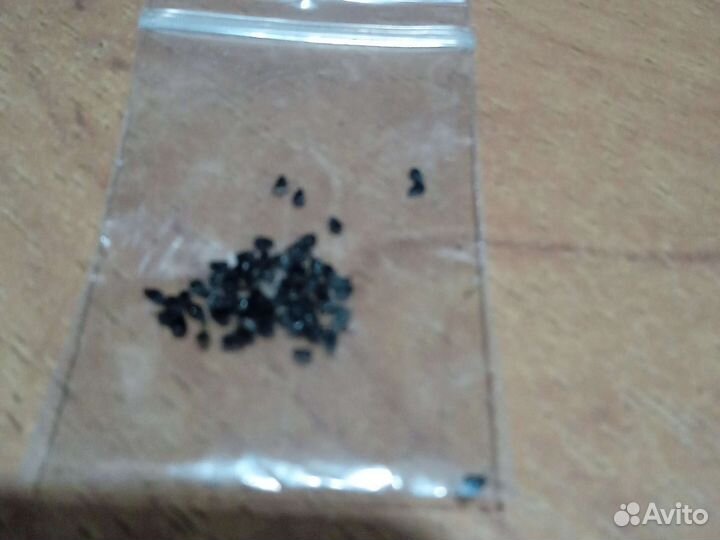 Кактус Питайяха (питайя) семена