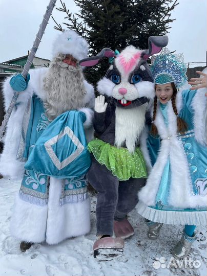 Дед мороз и снегурочка