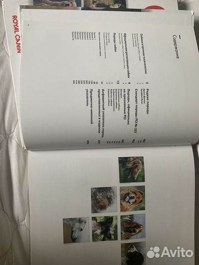 Энциклопедия Собаки