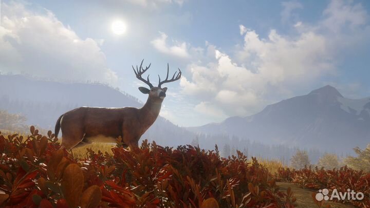 TheHunter: Call of the Wild (Steam)