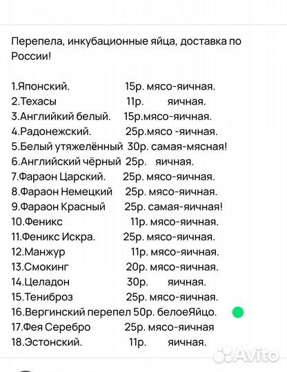 Вергинский перепел, яйцо белое.+18 пород. москва