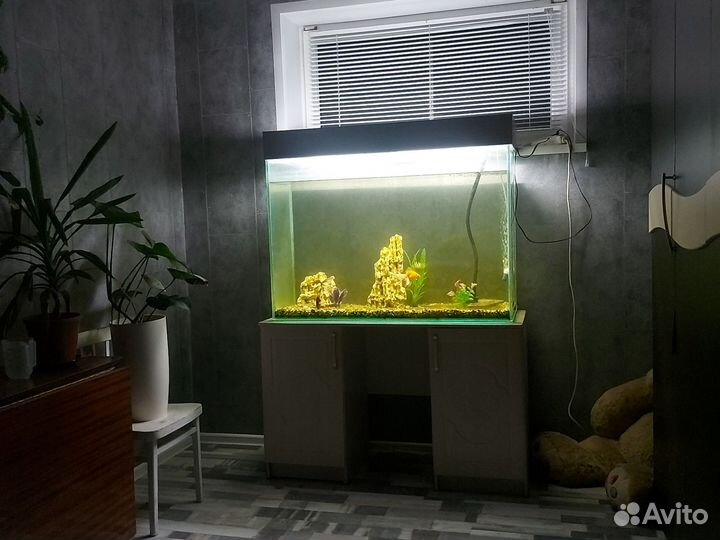 Аквариум