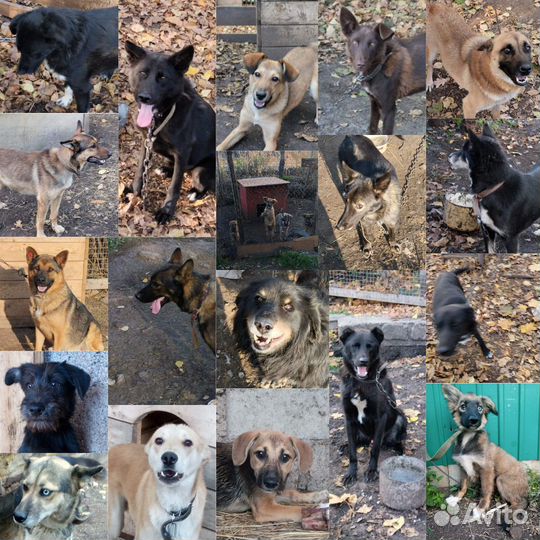 Помогите умоляю