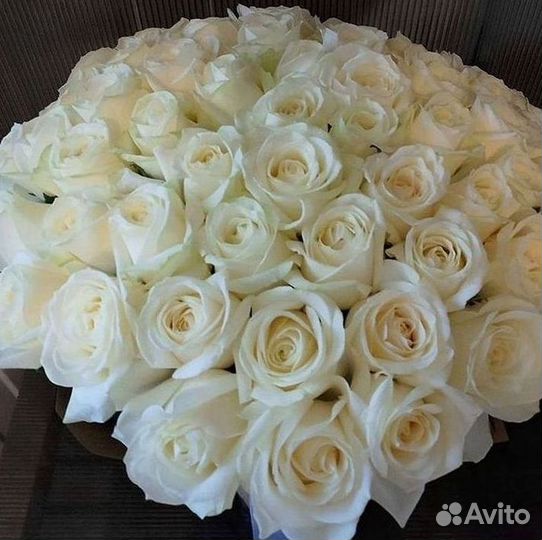 Высокие розы Гигантские розы Доставка цветов