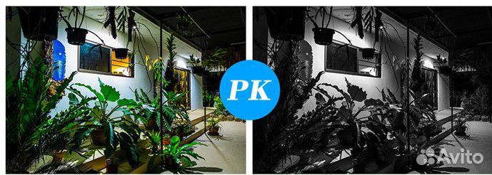 Видеонаблюдение (Sony IMX307)