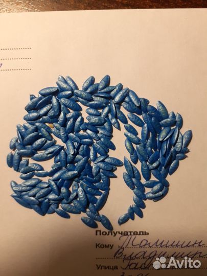 Семена самого лучшего гибрида огурца япония