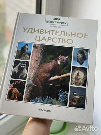 Удивительное царство из серии Мир дикой природы