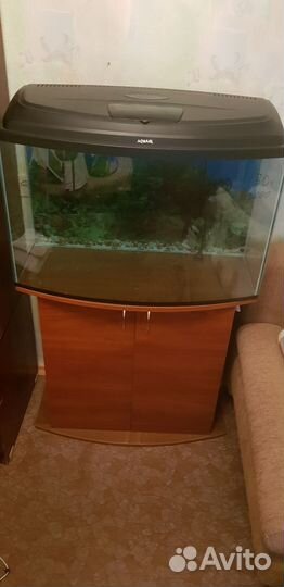 Выпуклые аквариумы