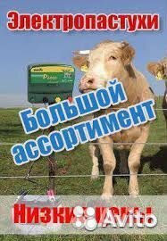 Электропастух