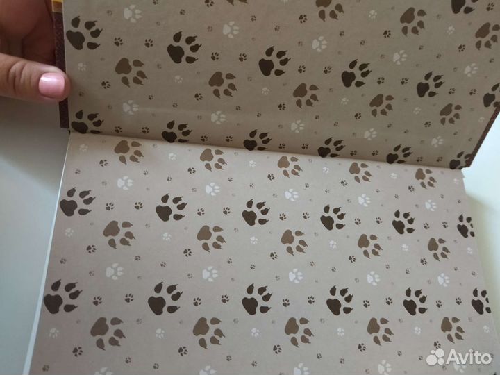 Коты воители