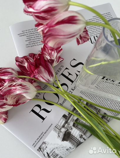 Фотостудия anli Ростов