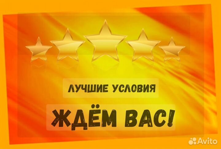 Комплектовщик Спецодежда Еженедельный аванс М/Ж