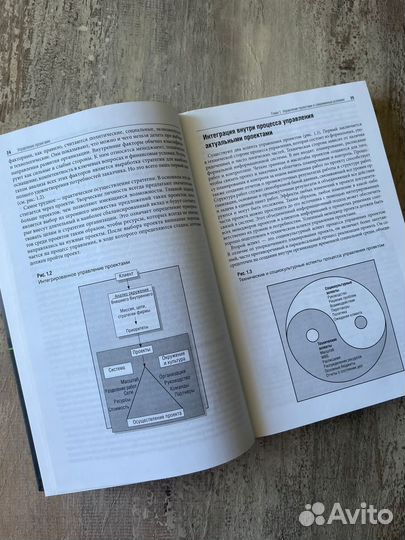 Управление проектами - Ф. Грей, У. Ларсон