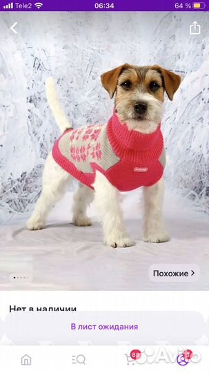 Свитер для собаки