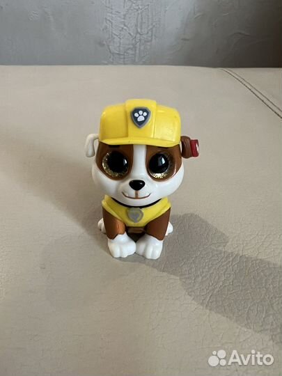 Щенок крепыш