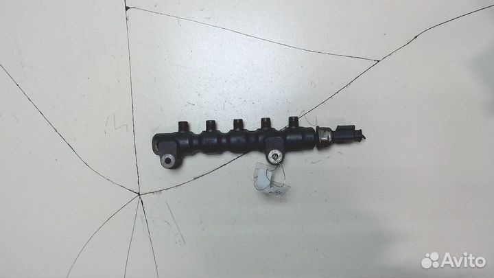 Рампа топливная Citroen Berlingo, 2010