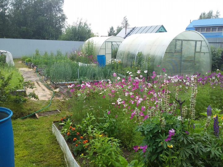 Дача 54 м² на участке 14,5 сот.