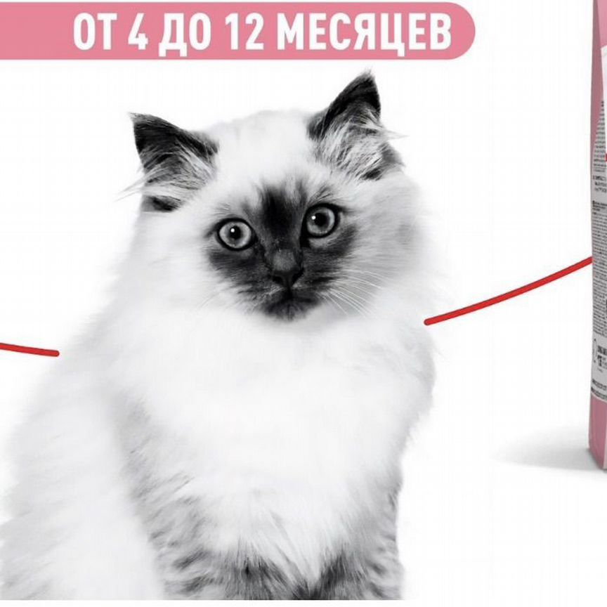 Сухой корм для котят royal canin