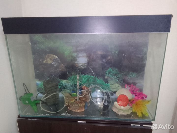 Аквариум