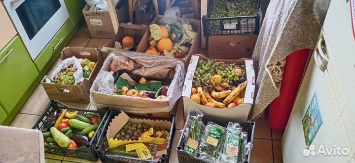 Корм для животных