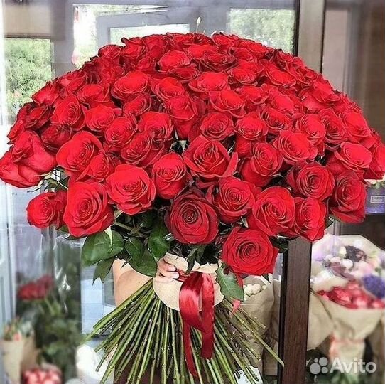 101 роза цветы букеты доставка 25 51 101 роза