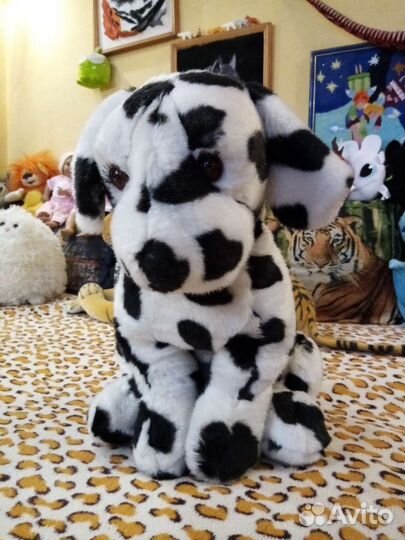 Собака далматин