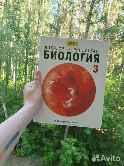 Биология грин стаут тейлор