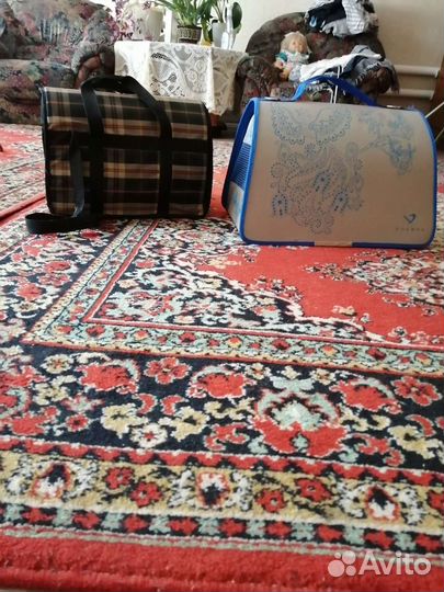 Сумка для животных