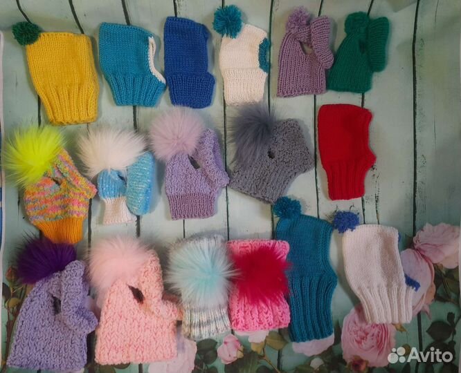 Шапочки для собак одежда