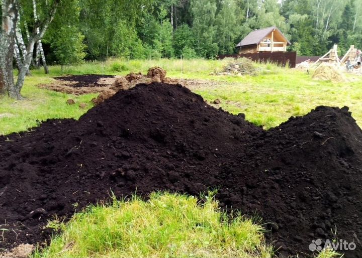 Чернозём