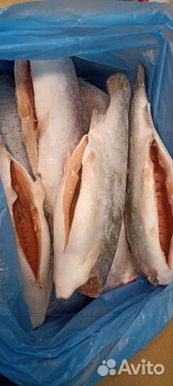 Форель морская (Турция) Стейки форели