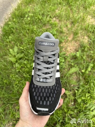 Кроссовки Adidas climacool