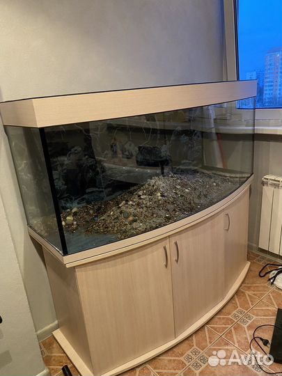 Продам аквариум 450 литров полукруглый на тумбе