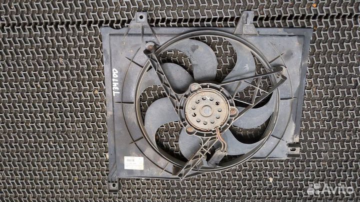 Вентилятор радиатора LDV (DAF) Maxus, 2006