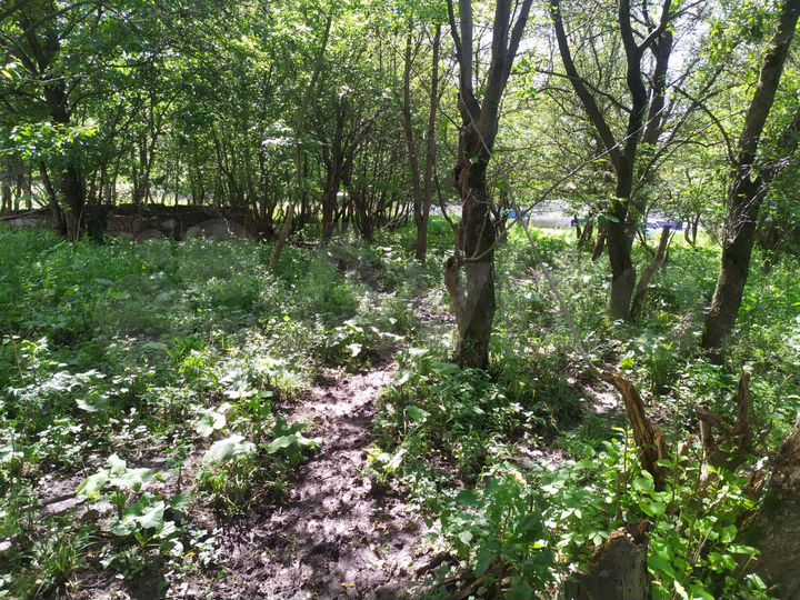 Участок 8 сот. (ИЖС)