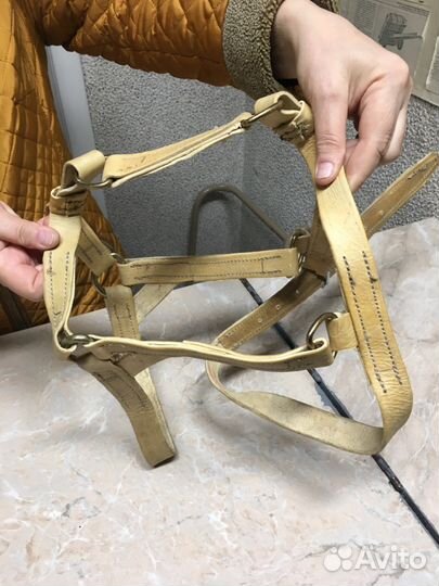Упряжь для лошадей, производства гост