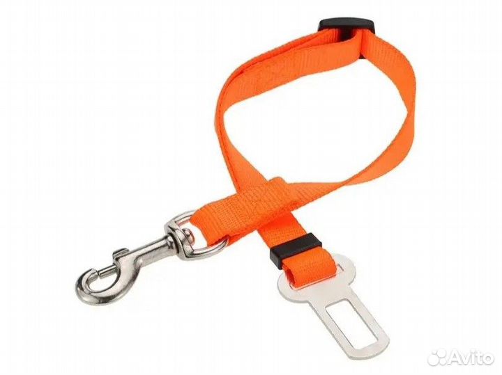 Аксессуары для собак