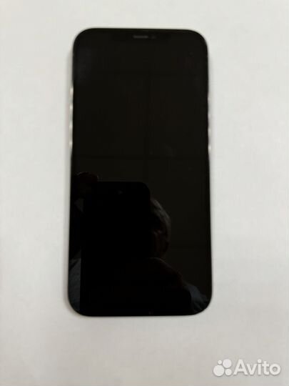iPhone 12 Pro Max, 256 ГБ