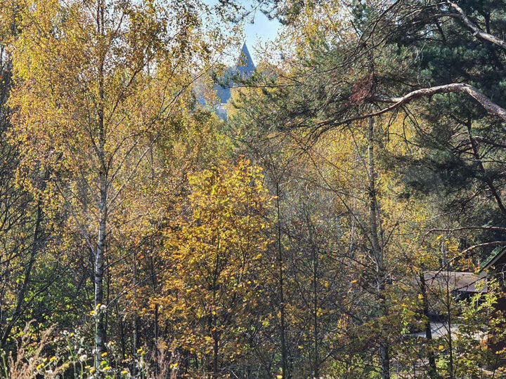 Участок 14,5 сот. (ИЖС)