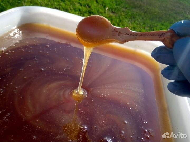 Свежий Забрус пчелиный,мед,соты