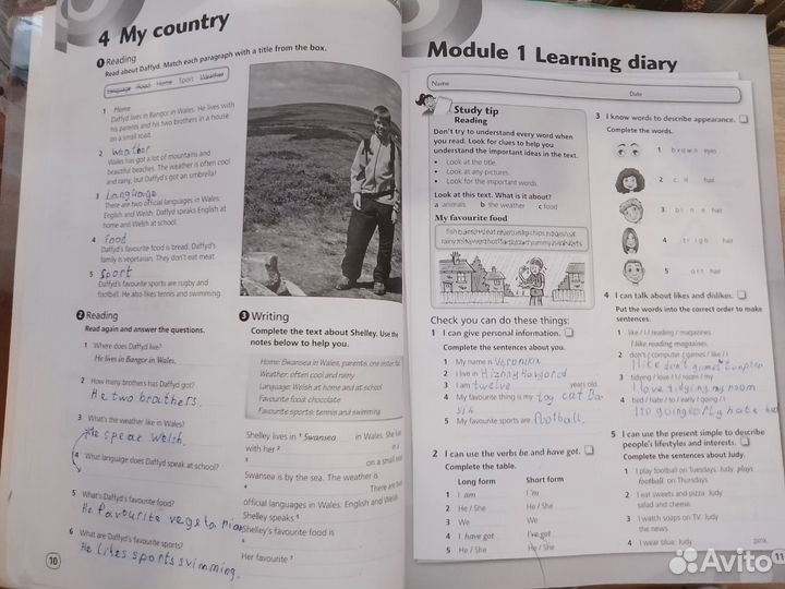 Hot Spot 2 учебник и рабочая тетрадь