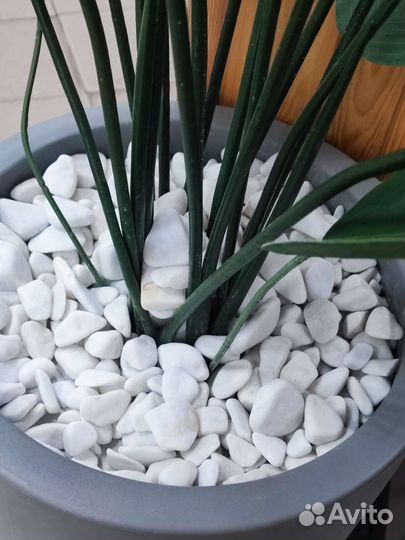 Искусственный фикус