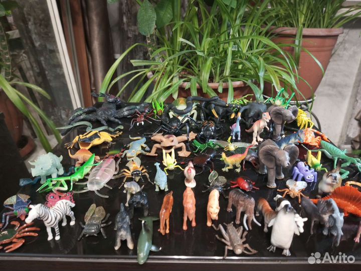 Коллекция животных цена за всё